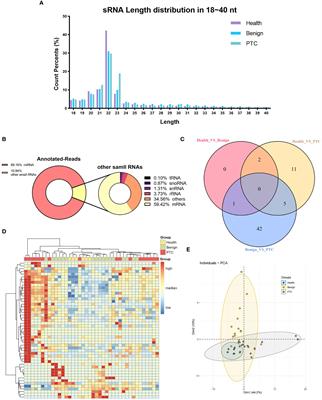 From sequencing to validation: NGS-based exploration of plasma miRNA in papillary thyroid carcinoma